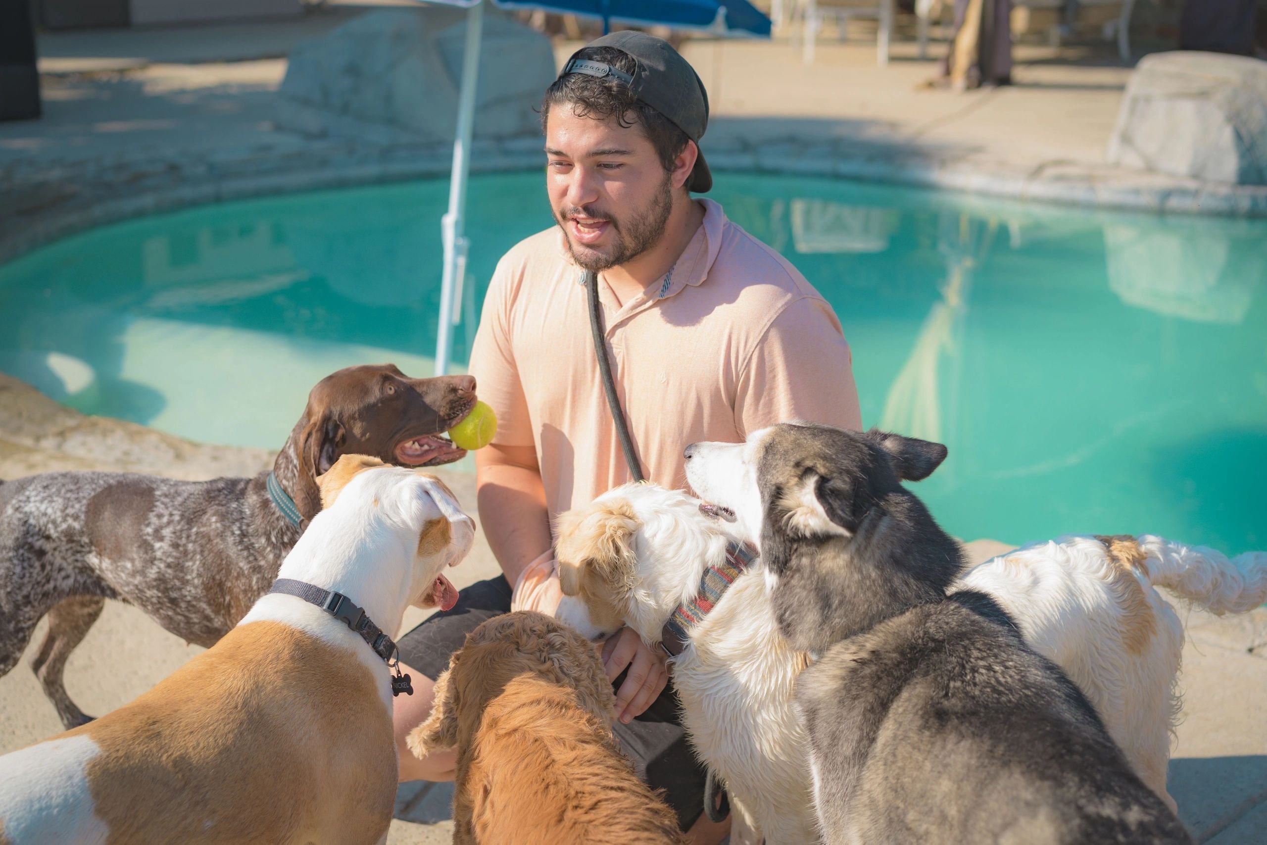 Joseph, owner of Bluna's Buddies, with a dog