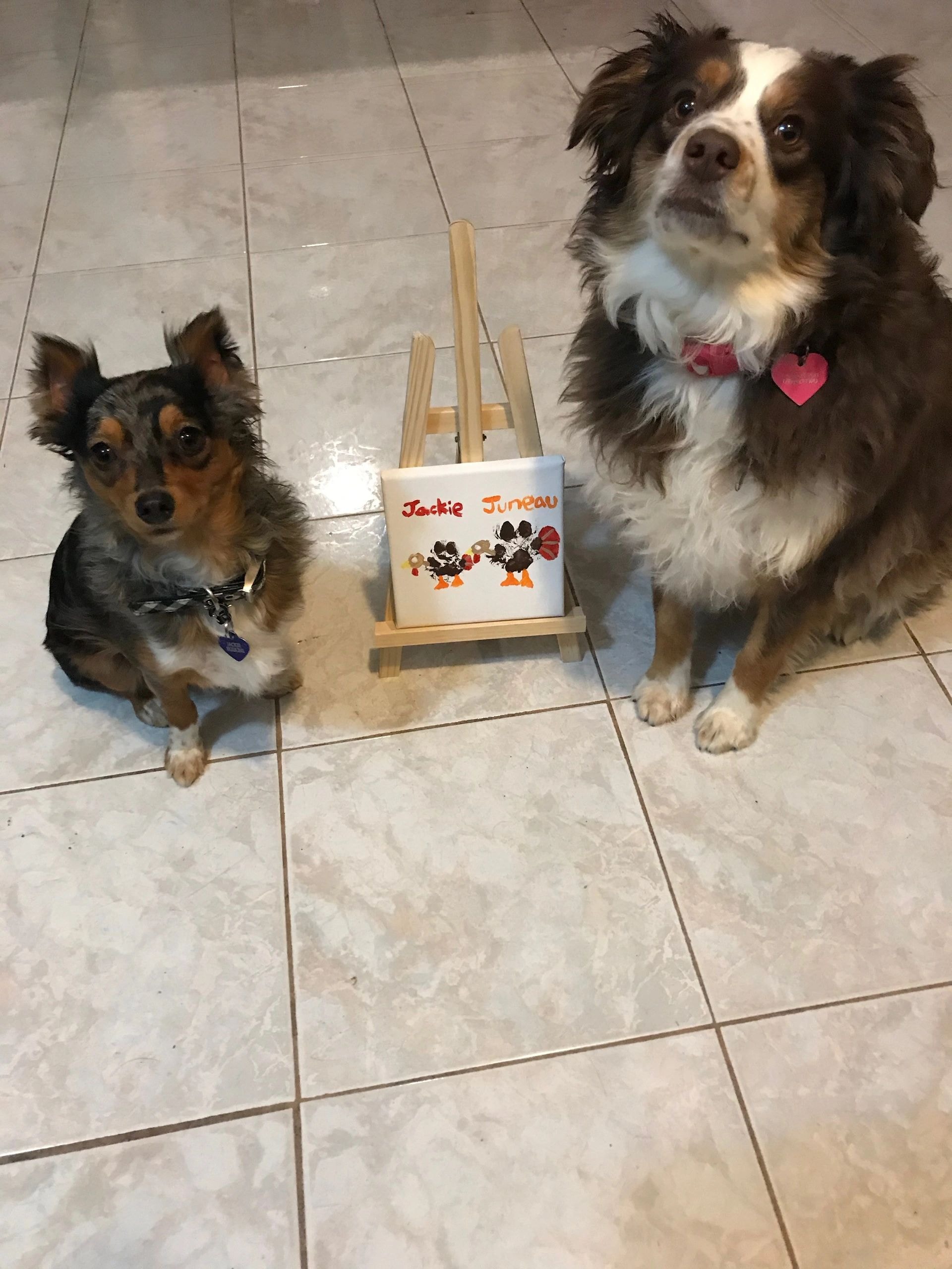 Two dogs with portrait painting